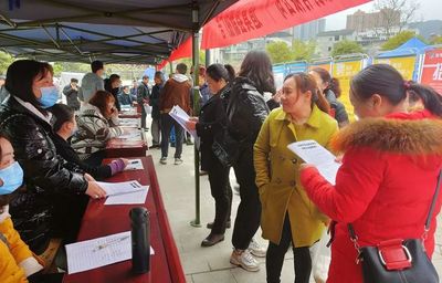 春風(fēng)如貴客 道真縣送崗上門三千，信息技術(shù)咨詢暖民心